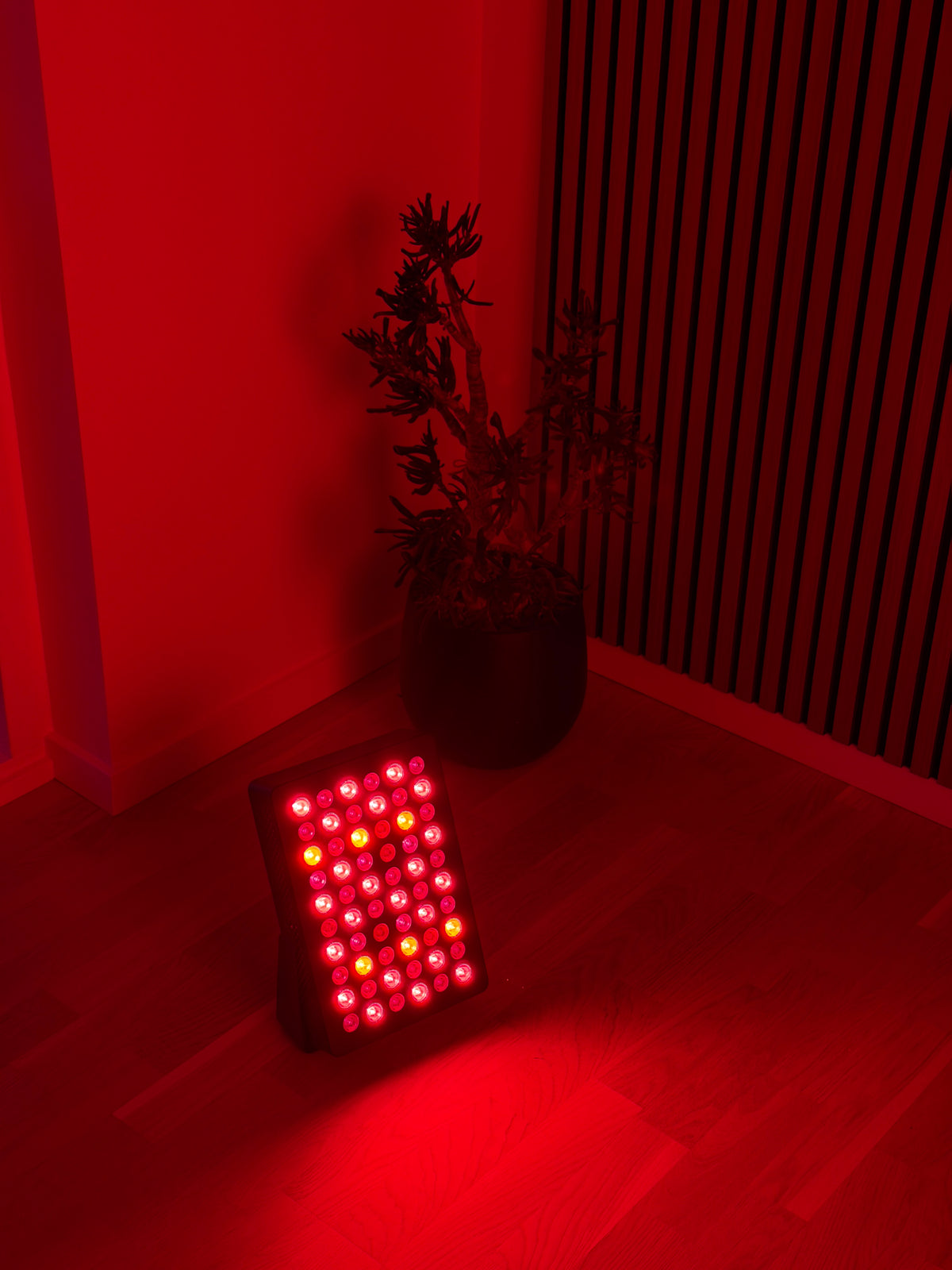 OVRA LUMEN CORE